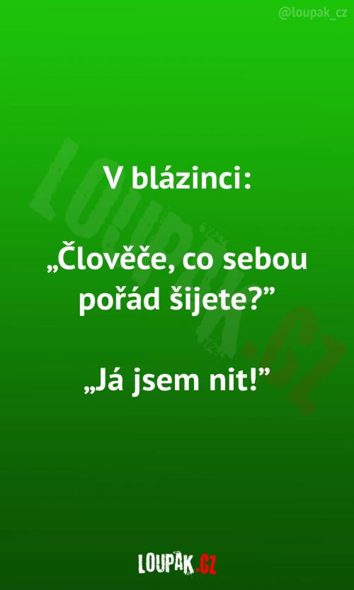 Malý střípek z blázince