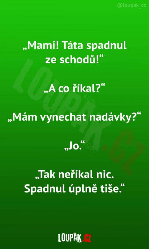 Co říkal táta po pádu ze schodů?