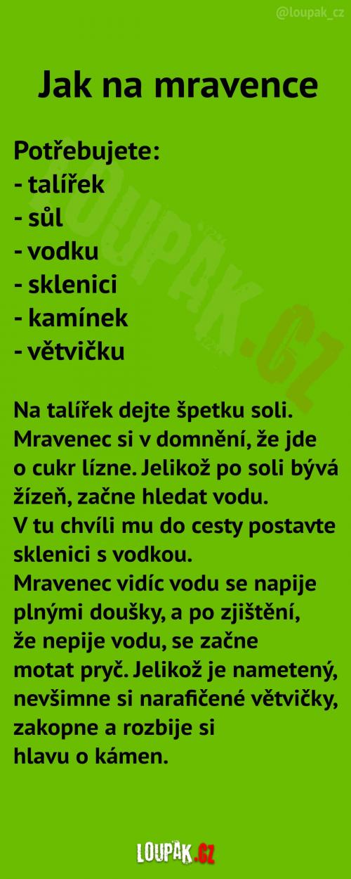  Jak zaručeně na mravence 