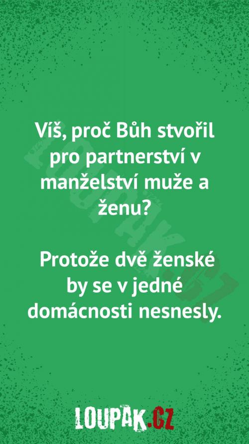 Proč bůh stvořil pro partnerství v manželství muže a ženu