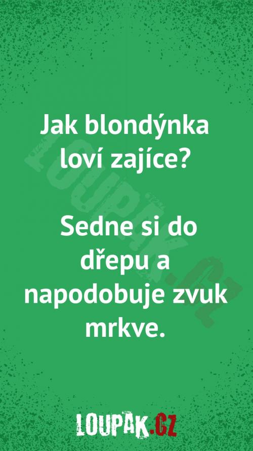 Jak blondýnky loví zajíce