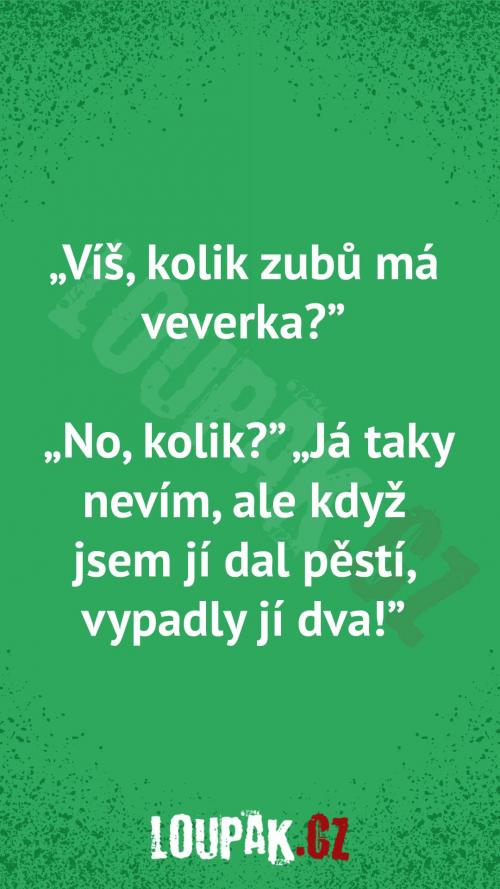  Kolik zubů má veverka 