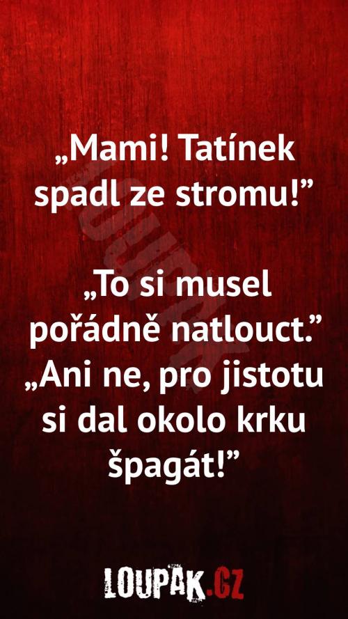  Proč tatínek spadl ze stromu 