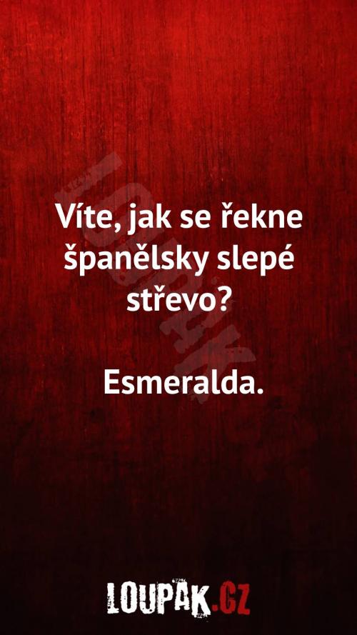  Jak se řekne španělsky slepé střevo 