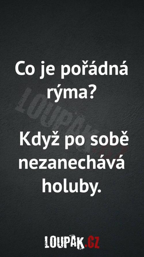 Co je pořádná rýma...