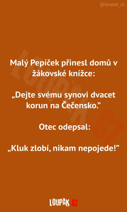  Poznámka v žákovské knížce 