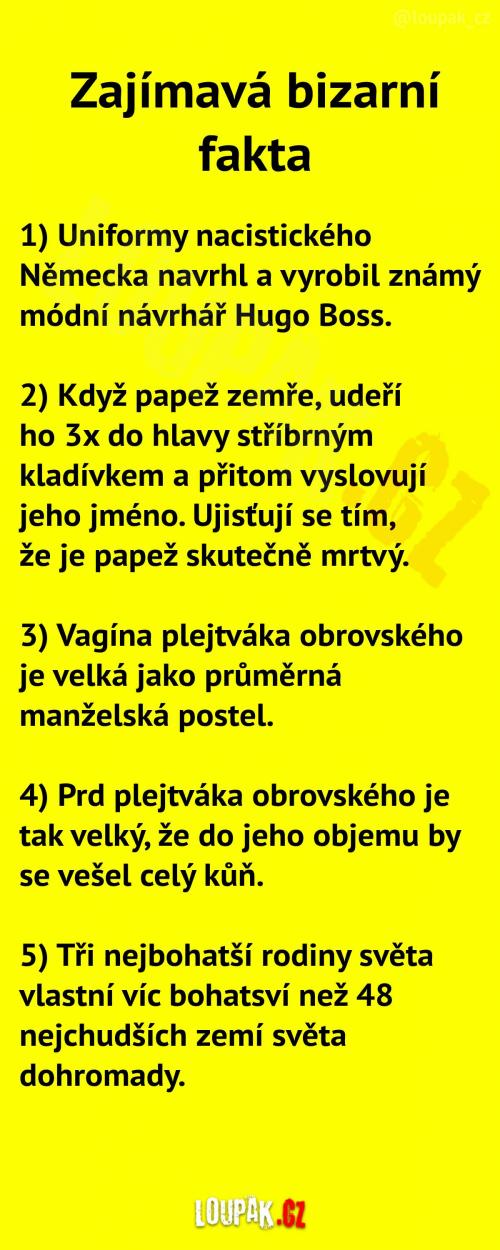  Zajímavá bizarní fakta! 