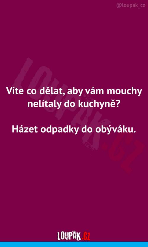  Co dělat, aby mouchy nelítaly do kuchyně 