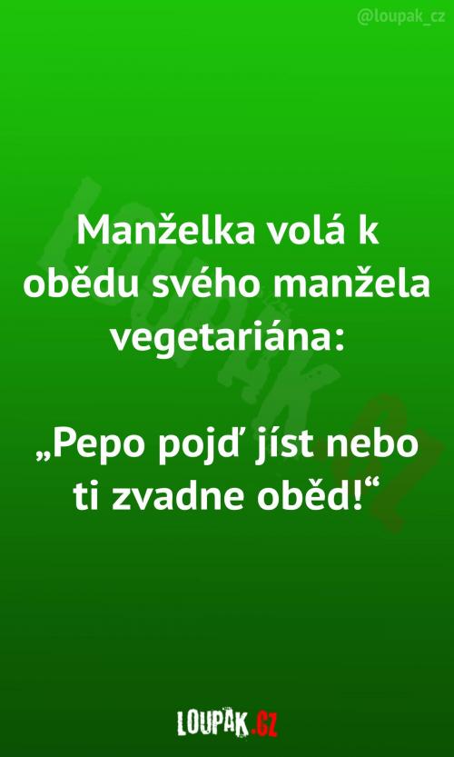  Takhle vypadá oběd vegetariánů 