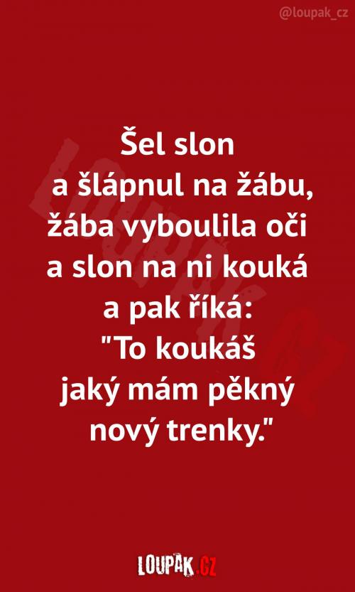 Když se setká žába se slonem