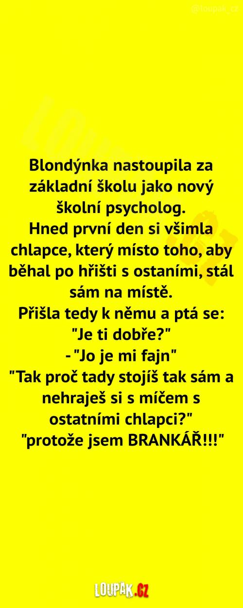  Nový školní psycholog  