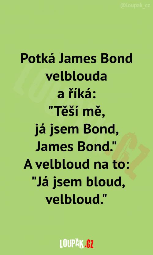  To je ale drsné setkání... 