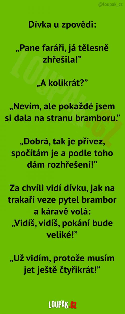 Dívka tělesně zhřešila 