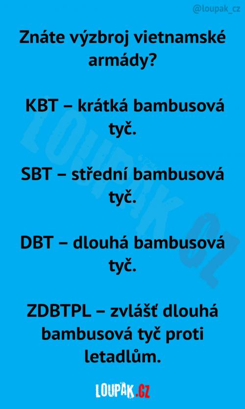 Výzbroj vietnamské armády
