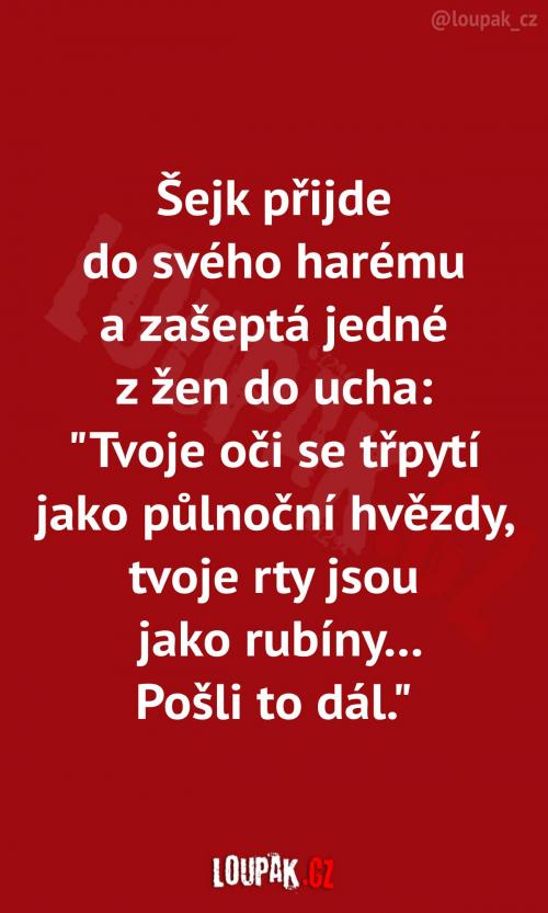  Myslím, že takto dojem neudělá 