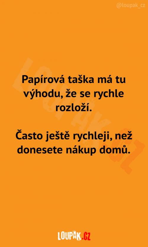  Výhoda papírové tašky 
