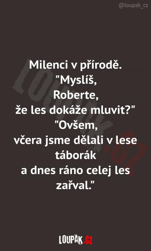  Romantická procházka lesem: 