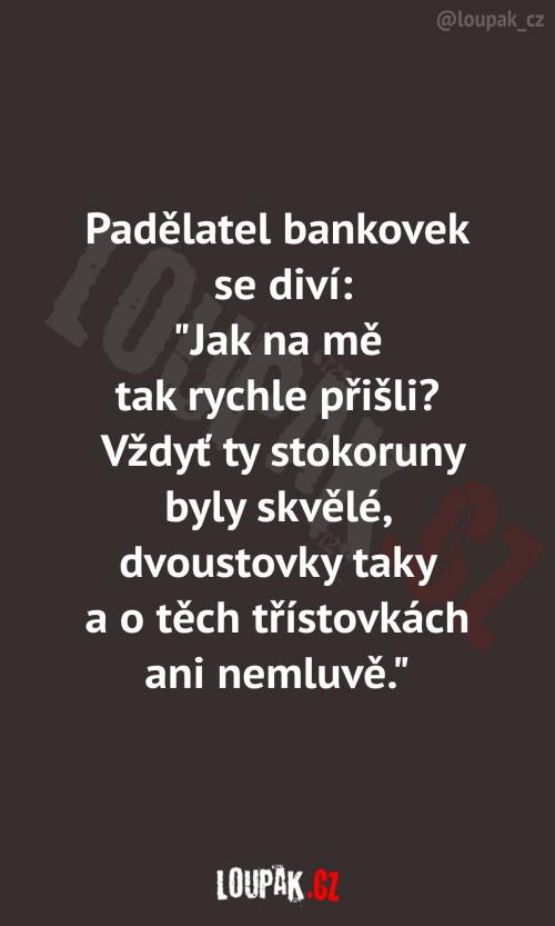  Myslím, že už vím, kde je zakopaný pes 