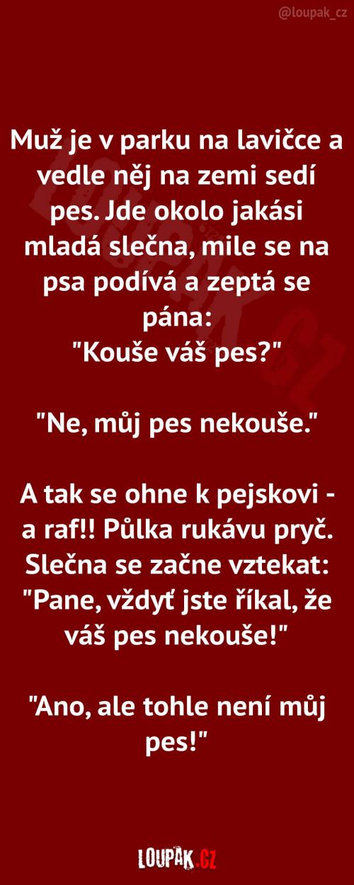  Jeho pes třeba vážně nekouše 