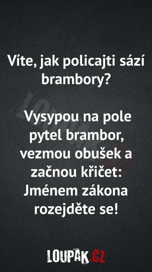  Jak policajti sazí brambory 