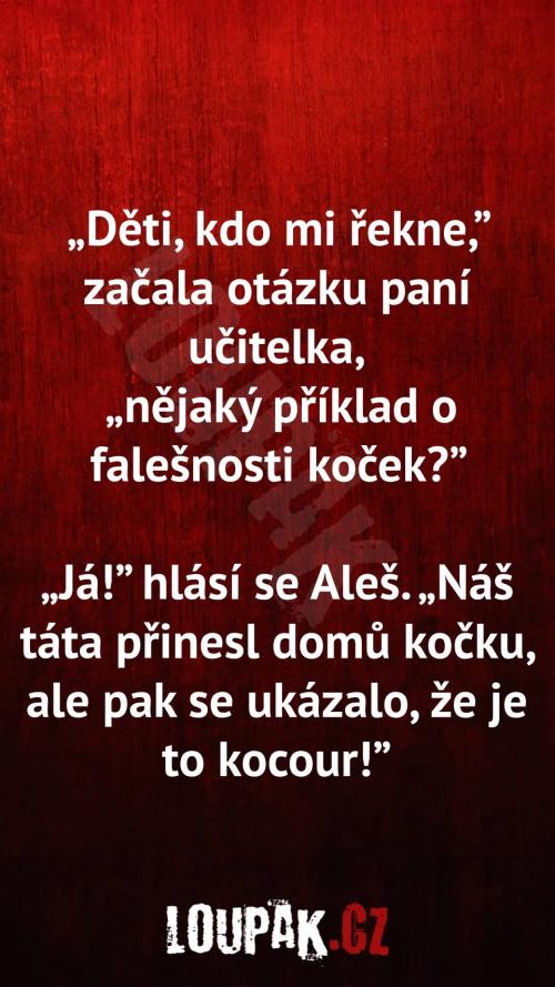  Jaký je příklad o falešnosti koček 