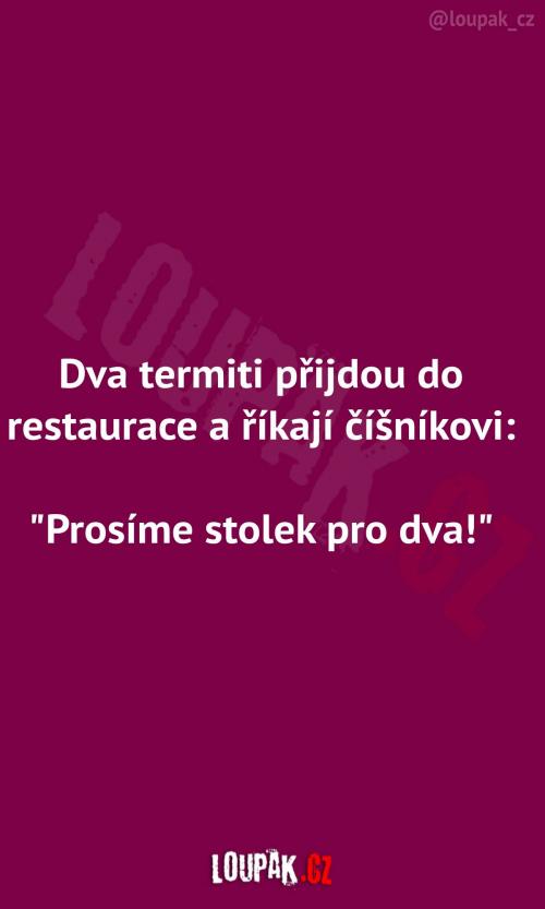  Termiti v restauraci 