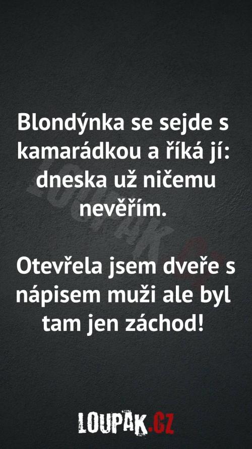  Proč ničemu nevěří... 