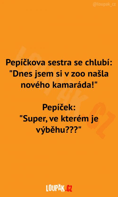  Když si najdete kamaráda v zoo 