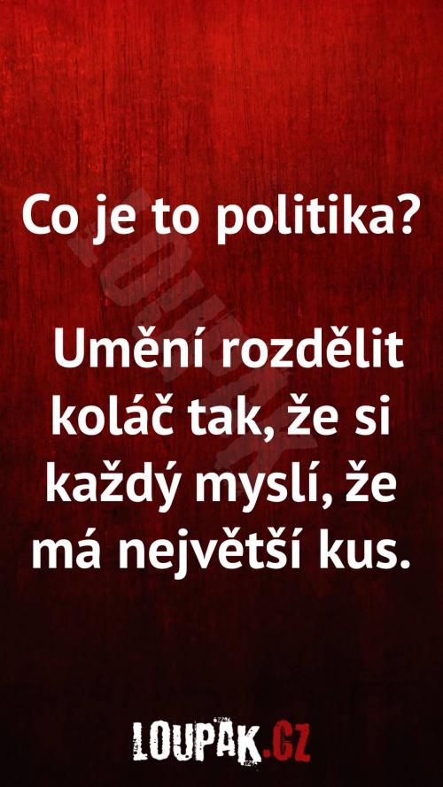  Co to je vůbec politika 