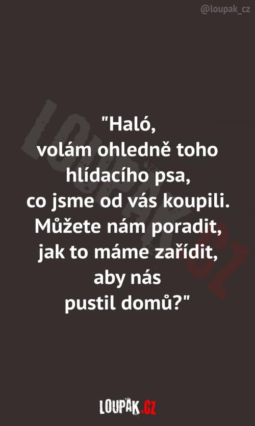 Je tak dobrý, až je to na škodu