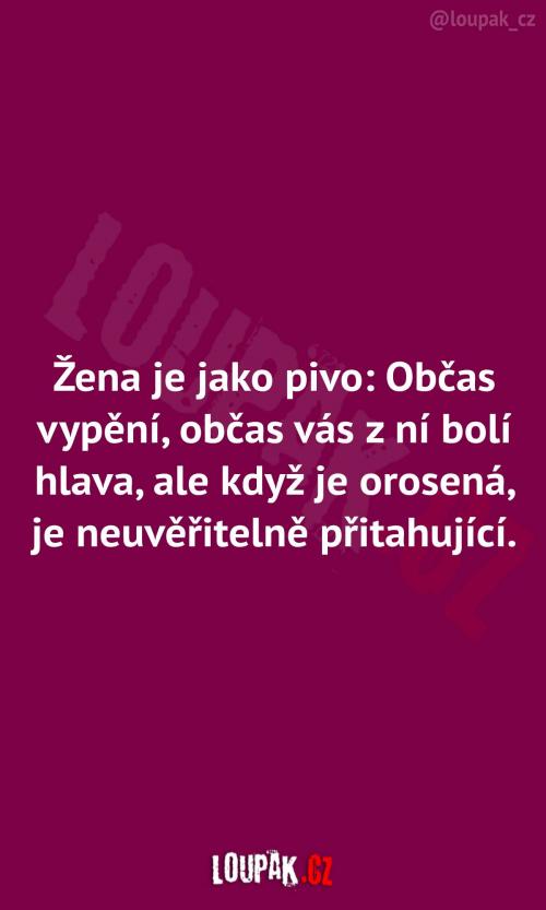  Proč je žena jako pivo 