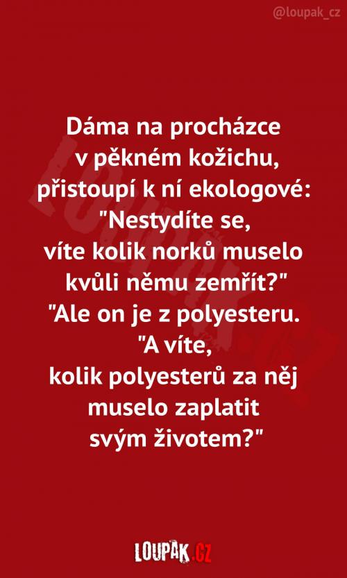  Dáma se producíruje v kožichu po náměstí 