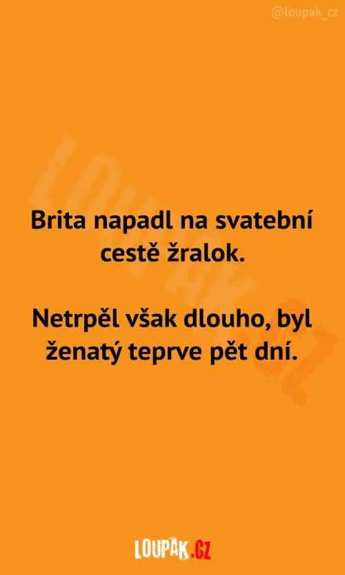  Žralok na svatební cestě 