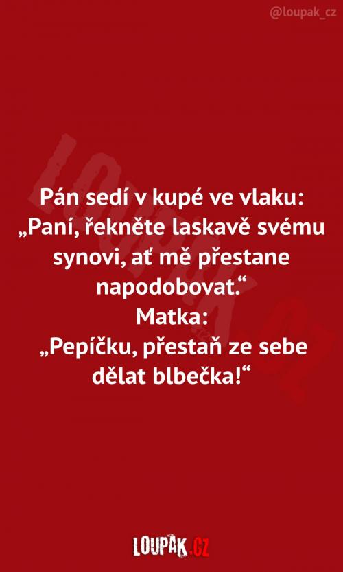  Náročná cesta ve vlaku  