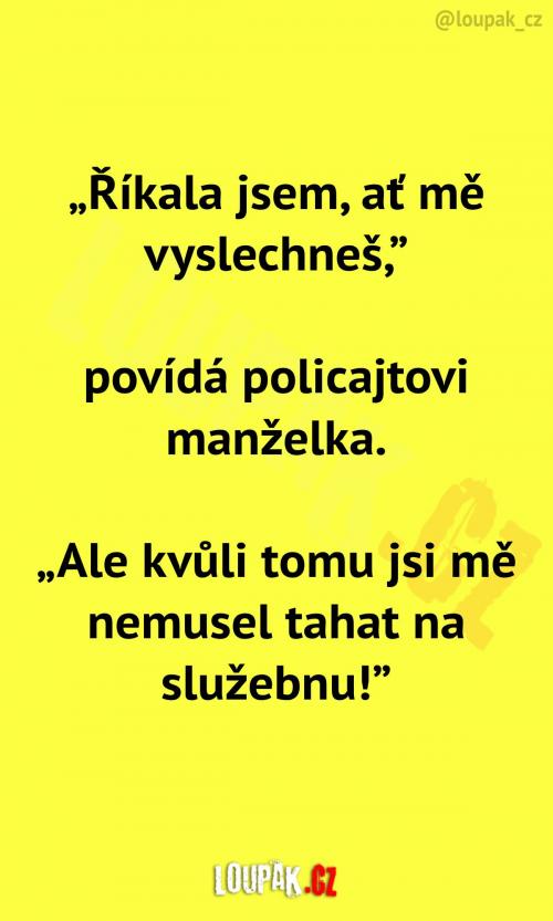  Chtěla jen vyslechnout... 