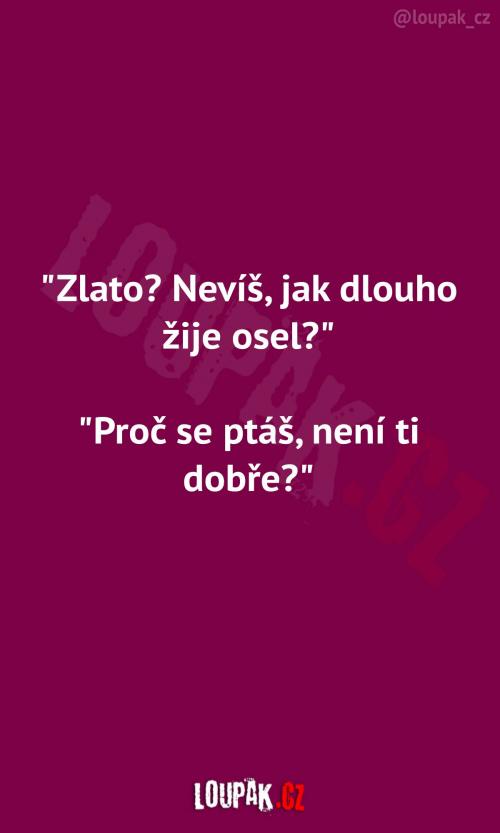  Jak dlouho žije osel 