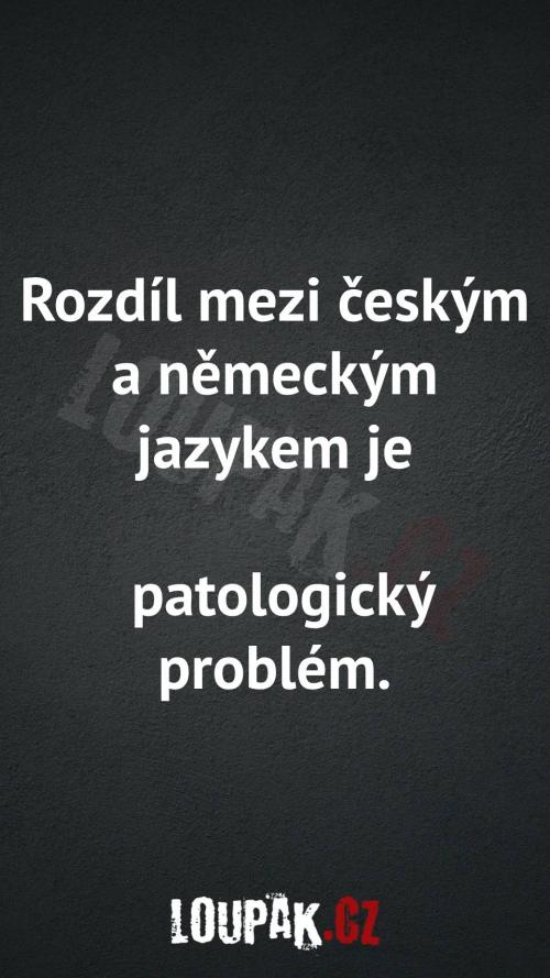 Rozdíl mezi českým a německým jazykem