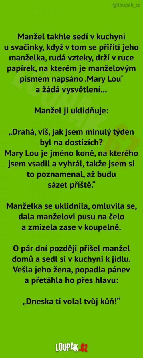  Manžel má asi problém... 