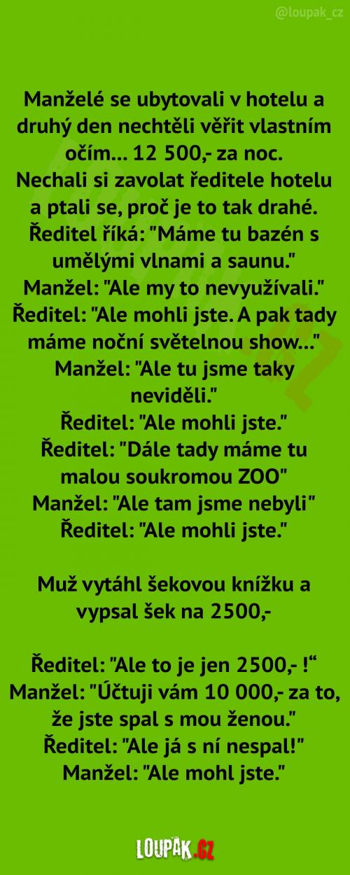 Ubytování v hotelu  