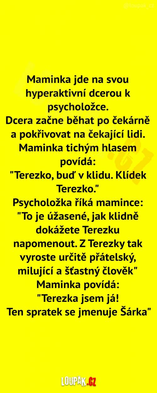  Klidný a přátelský přístup  