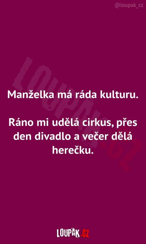  Manželčin vztah ke kultuře 