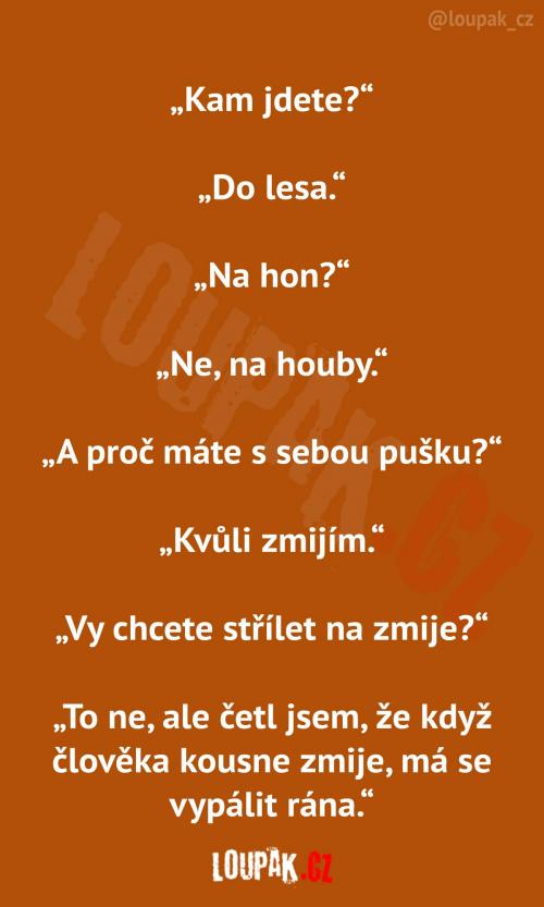 Výprava do lesa...  