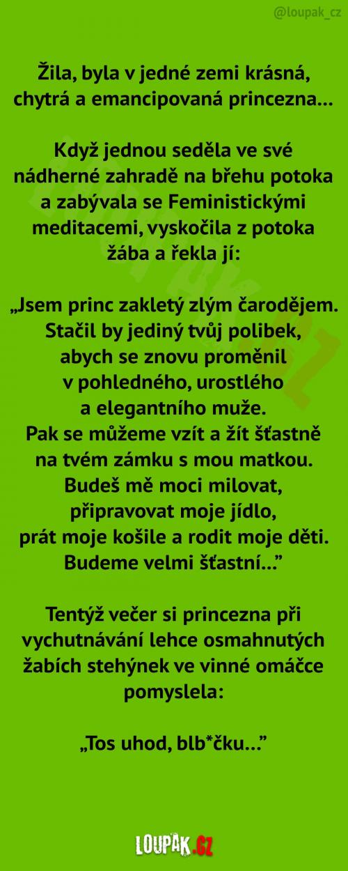  O krásné chytré a emancipované princezně 