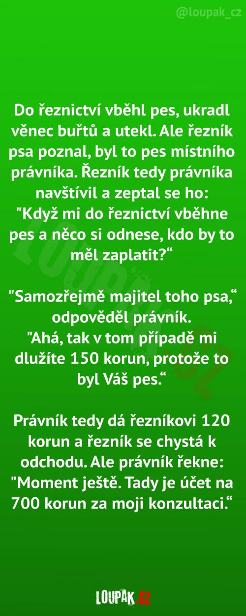  Když pes ukradne buřty 