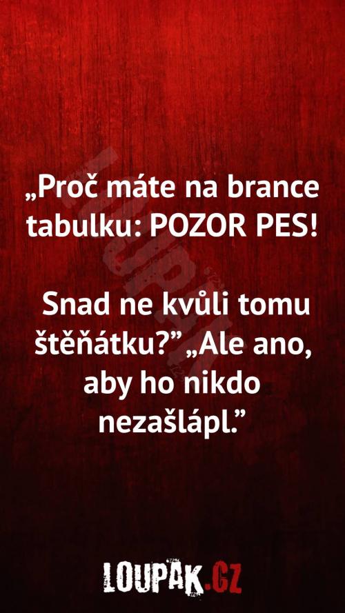  Proč je na brance tabulka POZOR PES 