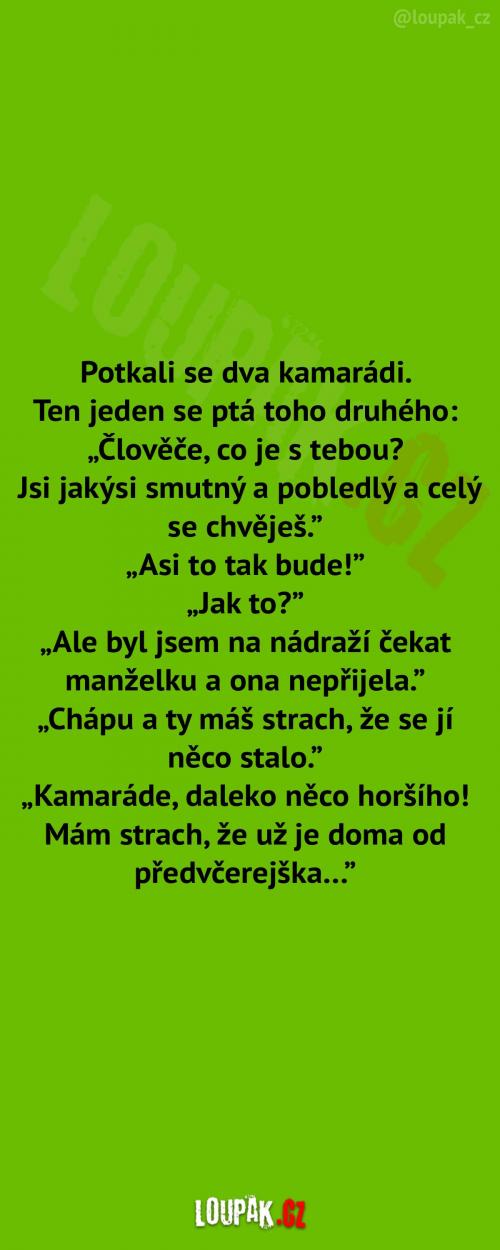 Posmutnělý kamarád