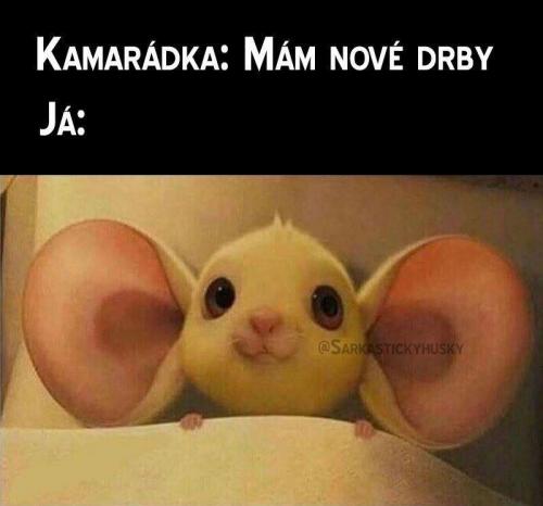 Drby