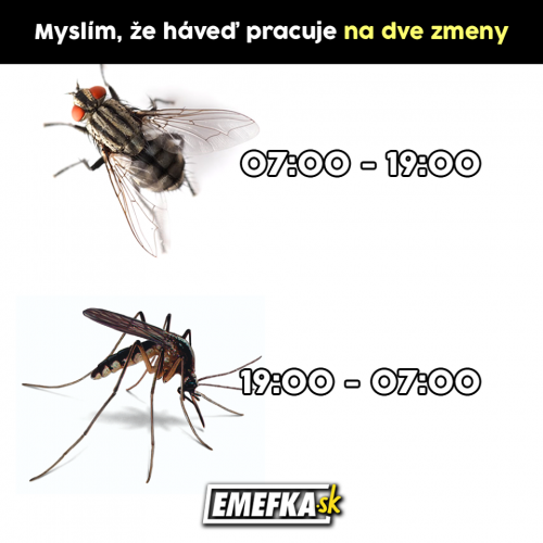 Směny