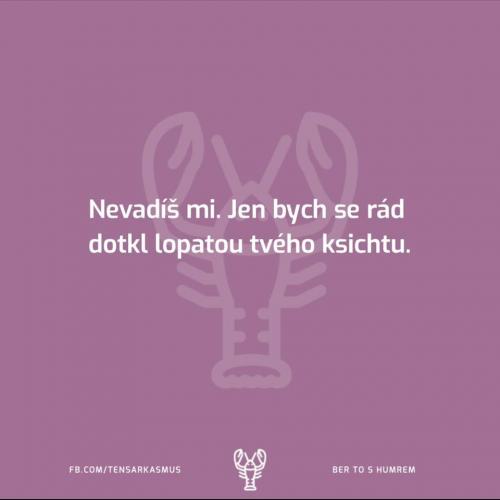 Nevadíš