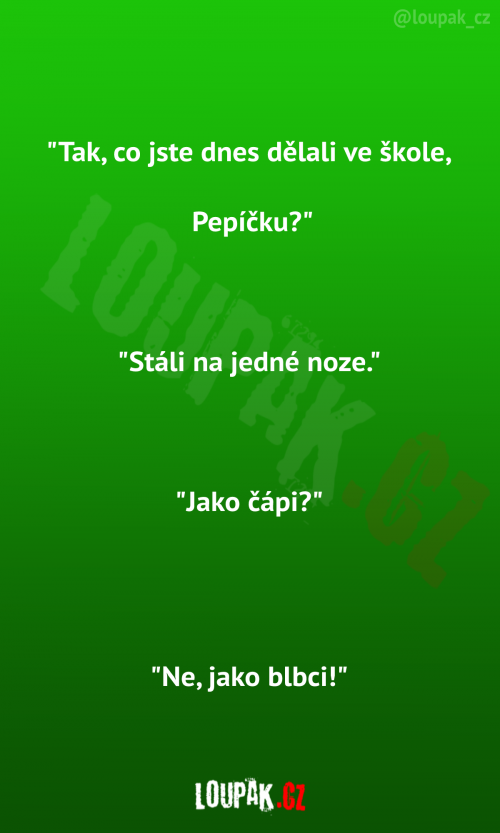  Co jste dne dělali ve škole 